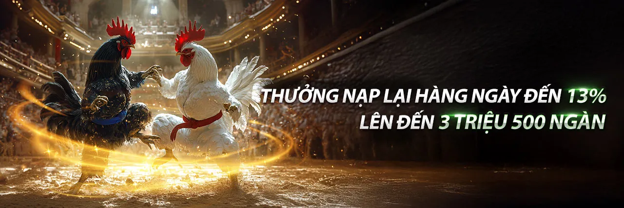 Đá gà trực tuyến trên AW8 App 2026